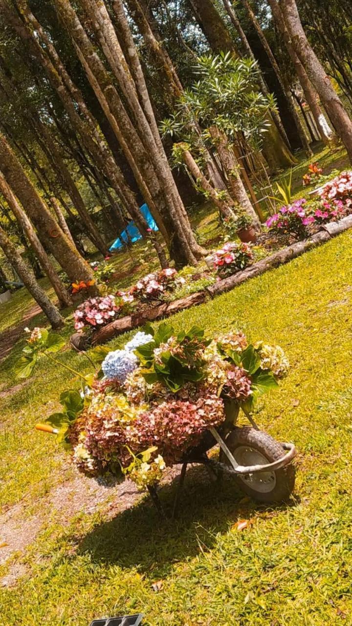 Chacara Rancho Paraiso Piraquara Exteriör bild